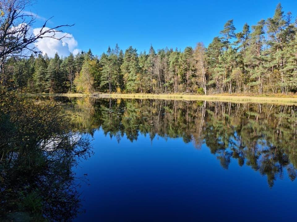 Villa Strandnaera Stuga Vaenersnaes Vargon Exterior foto