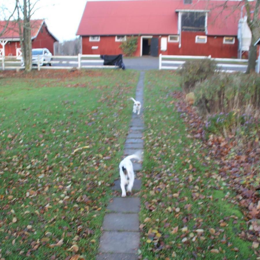 Villa Strandnaera Stuga Vaenersnaes Vargon Exterior foto